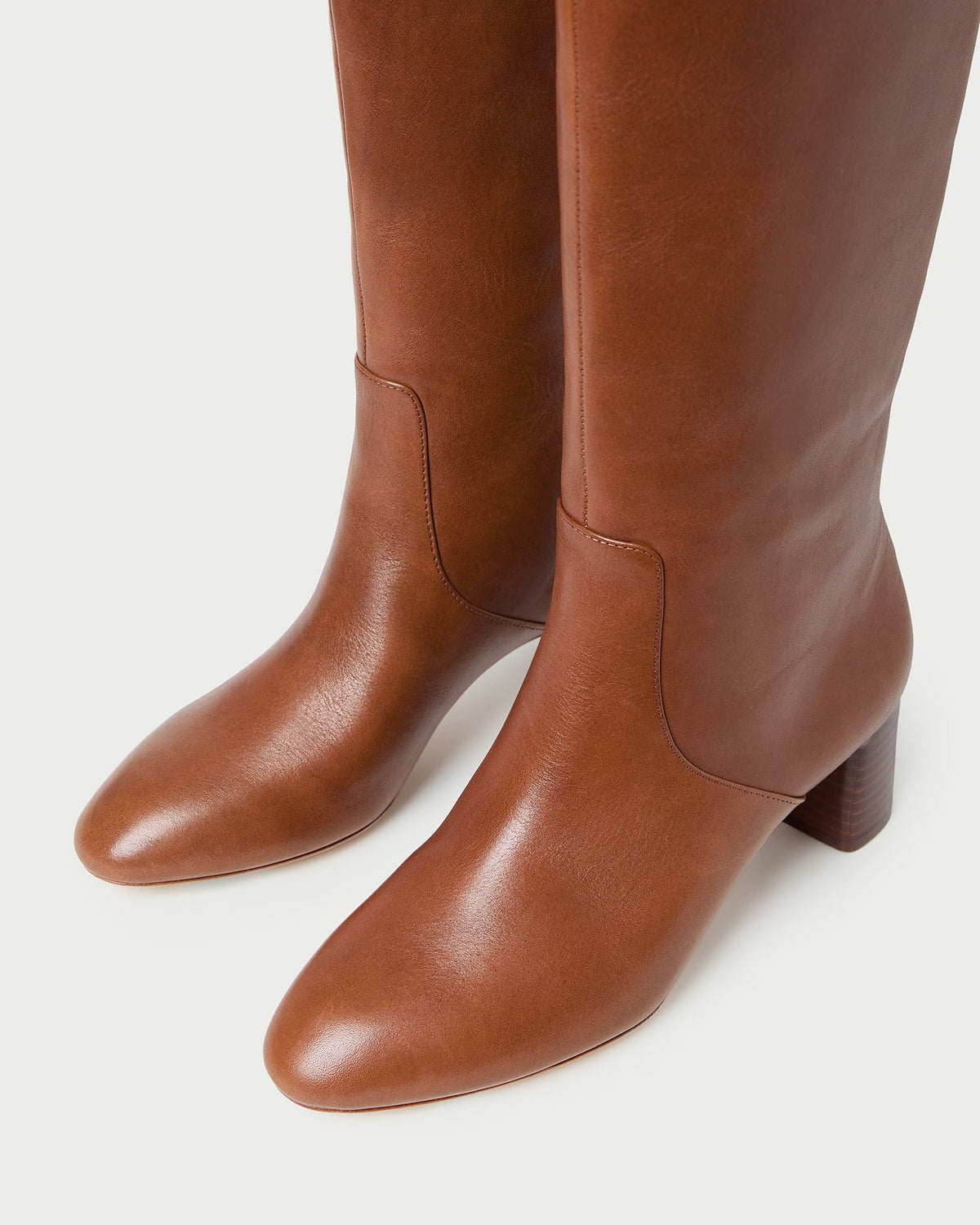 Loeffler Randall Essential | Gia Safari Leather Tall Boot