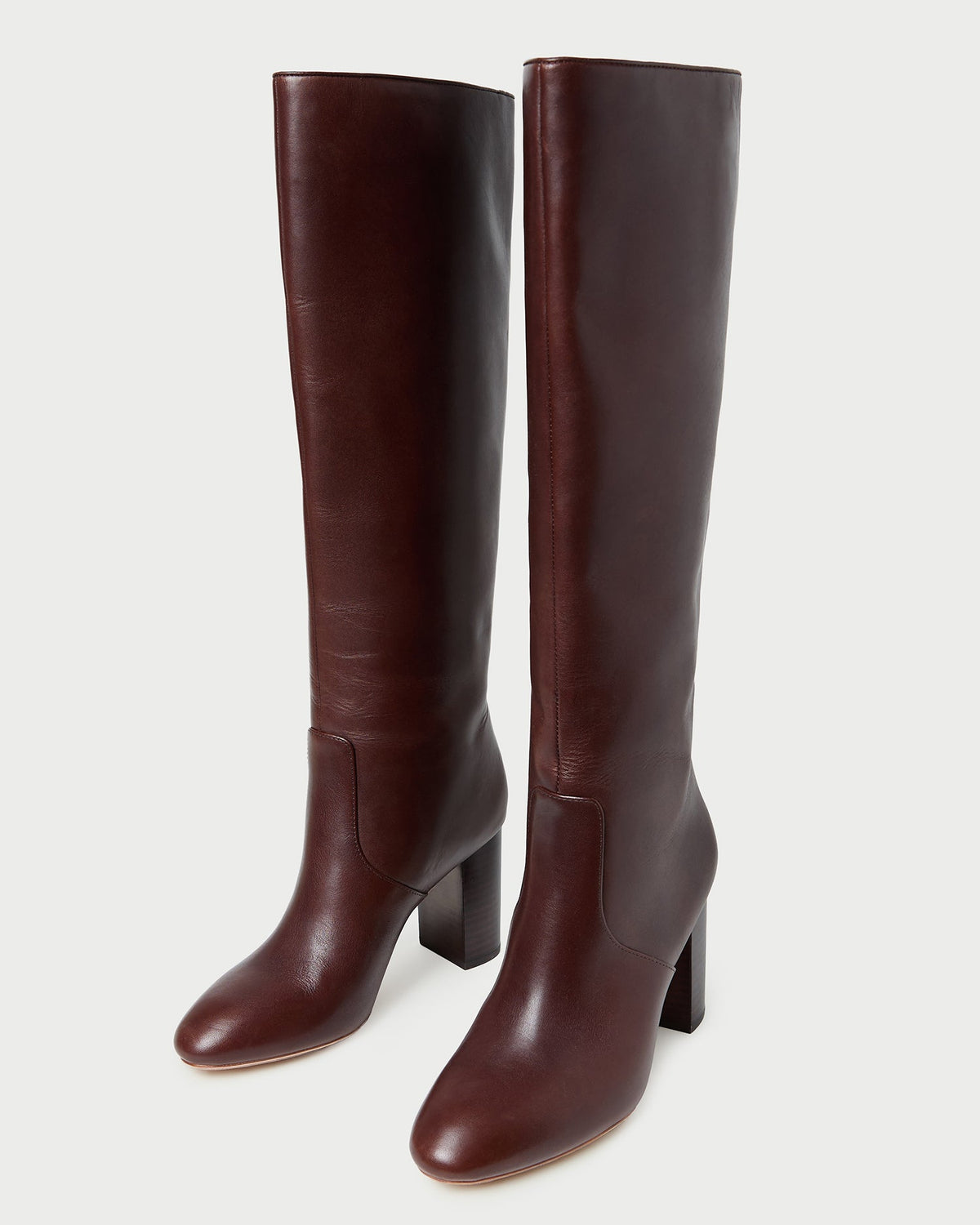 Loeffler Randall Discount | Goldy Espresso Leather Tall Boot