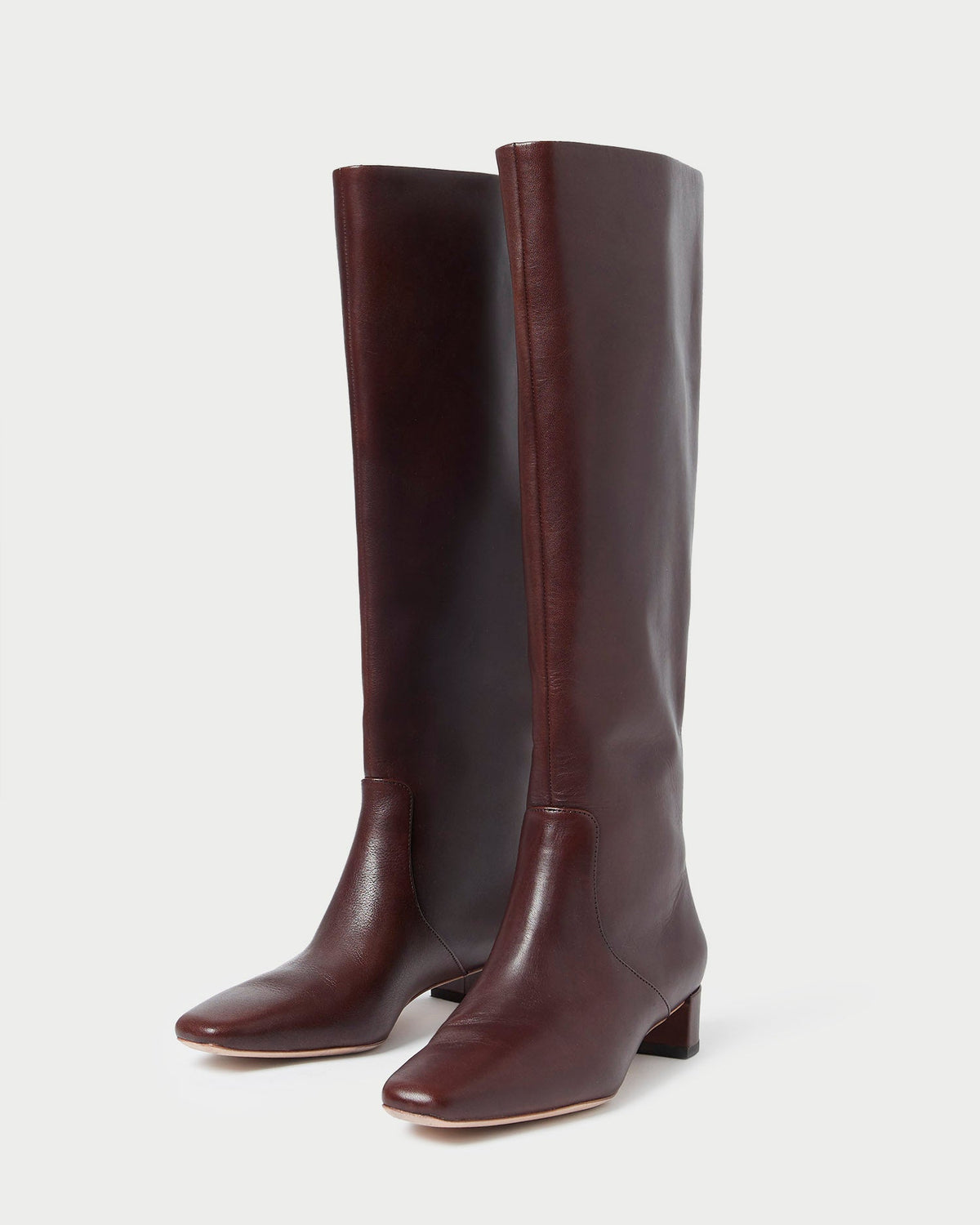 Loeffler Randall Great Value | Indy Espresso Leather Tall Boot